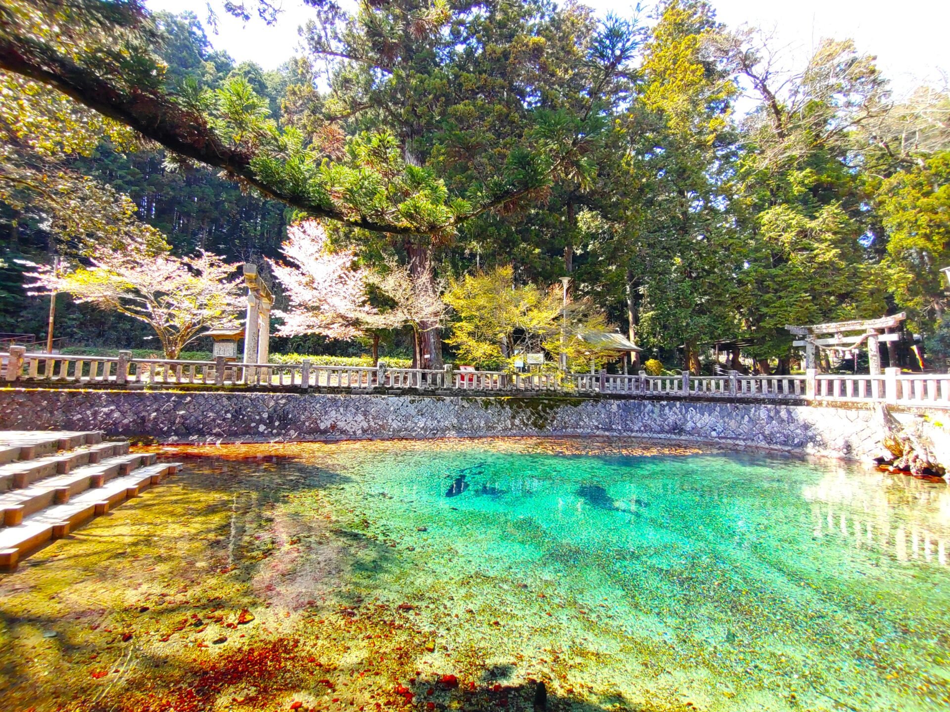 ⛩️ 야보 텐만궁 이미지 8